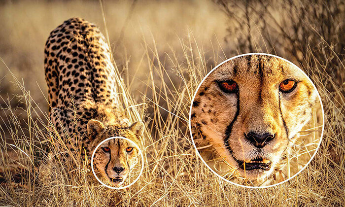 EIZO CG2700X Monitor mit 4K-UHD-Auflösung