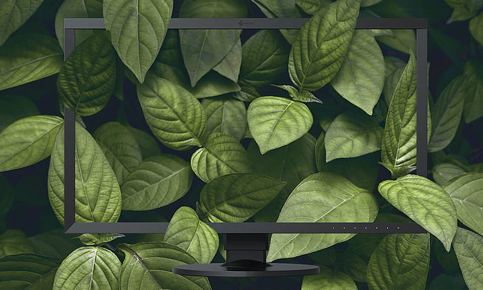 Nachhaltigkeit bei EIZO: umweltfreundliche Verpackung des CG2700X