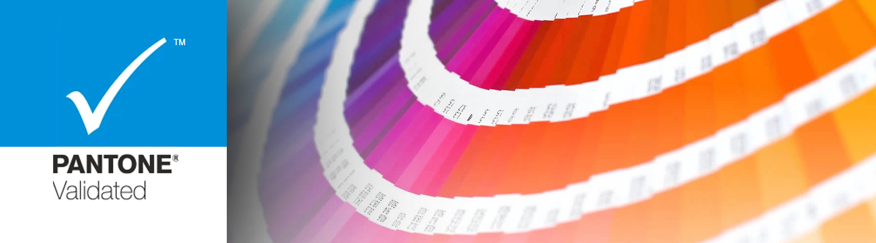 VP3481a ist Pantone Validated