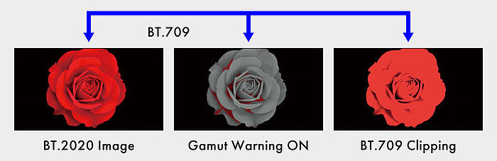 Gamut-Warnung durch den CG2700S