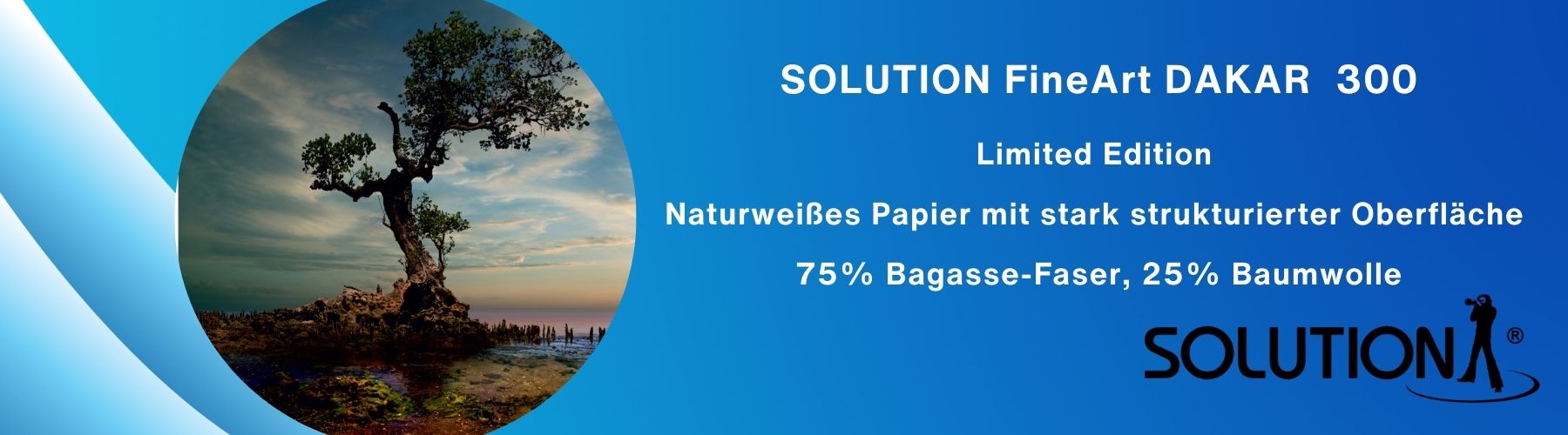 Solution FineArt DAKAR