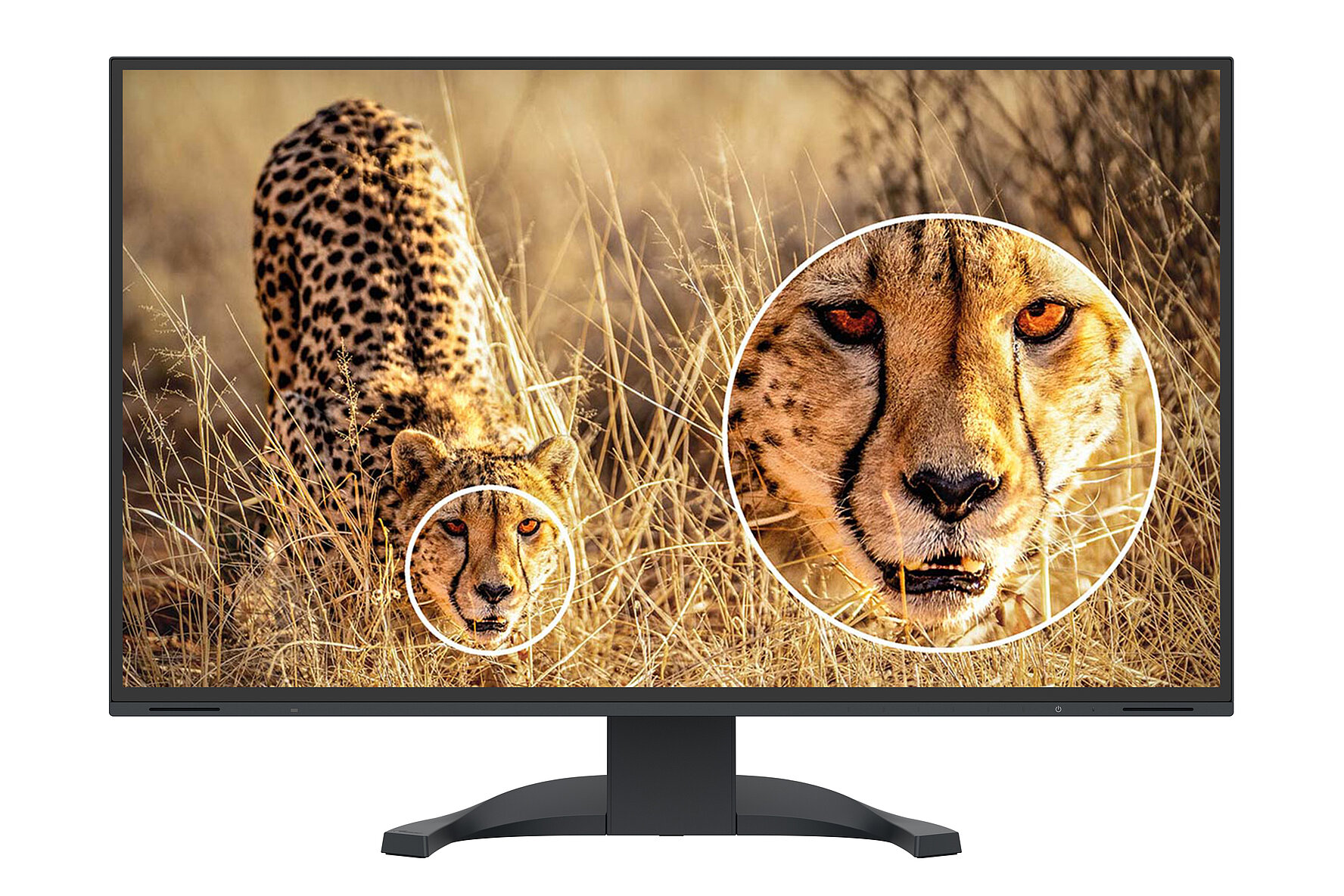 EIZO Flexscan EV3240X