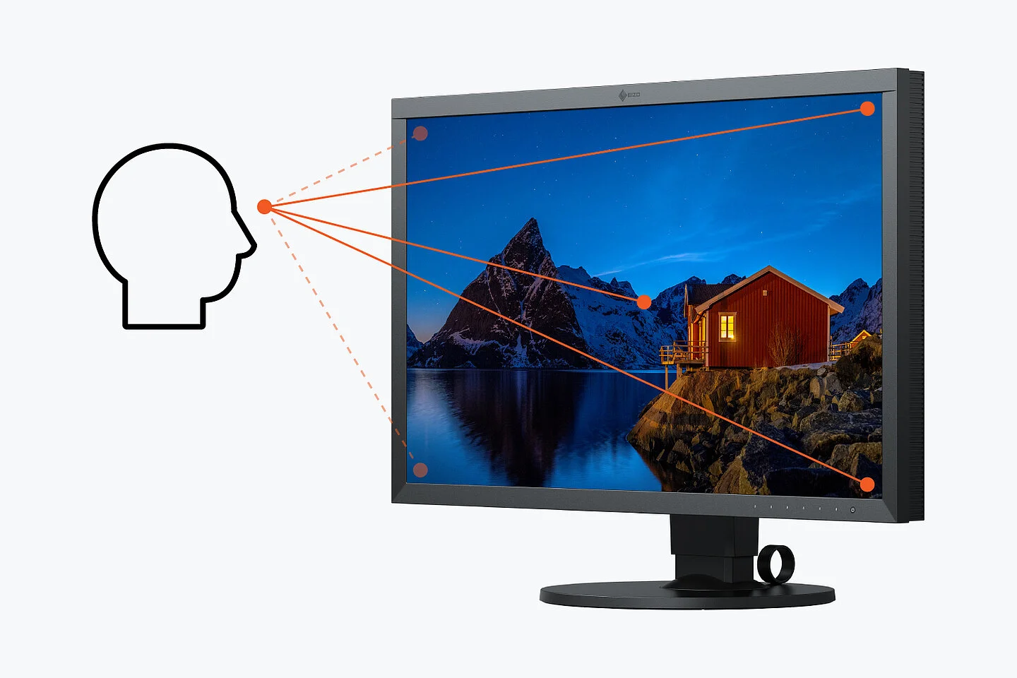 EIZO CS2400R Präzision und Farbe mit 178 Grad Betrachtungswinkel