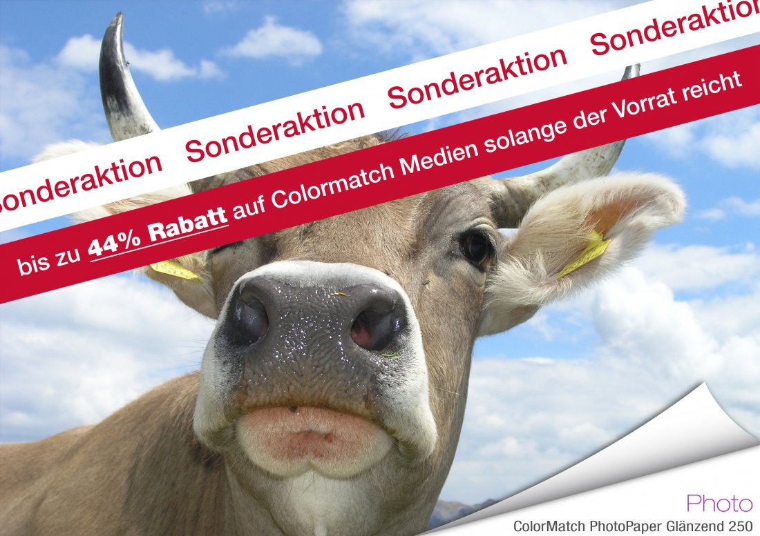 ColorMatch PhotoPaper Glänzend 36" 250g/m² 30m