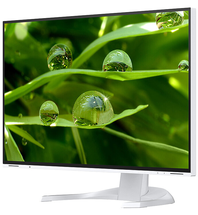 EIZO Flexscan EV3240X