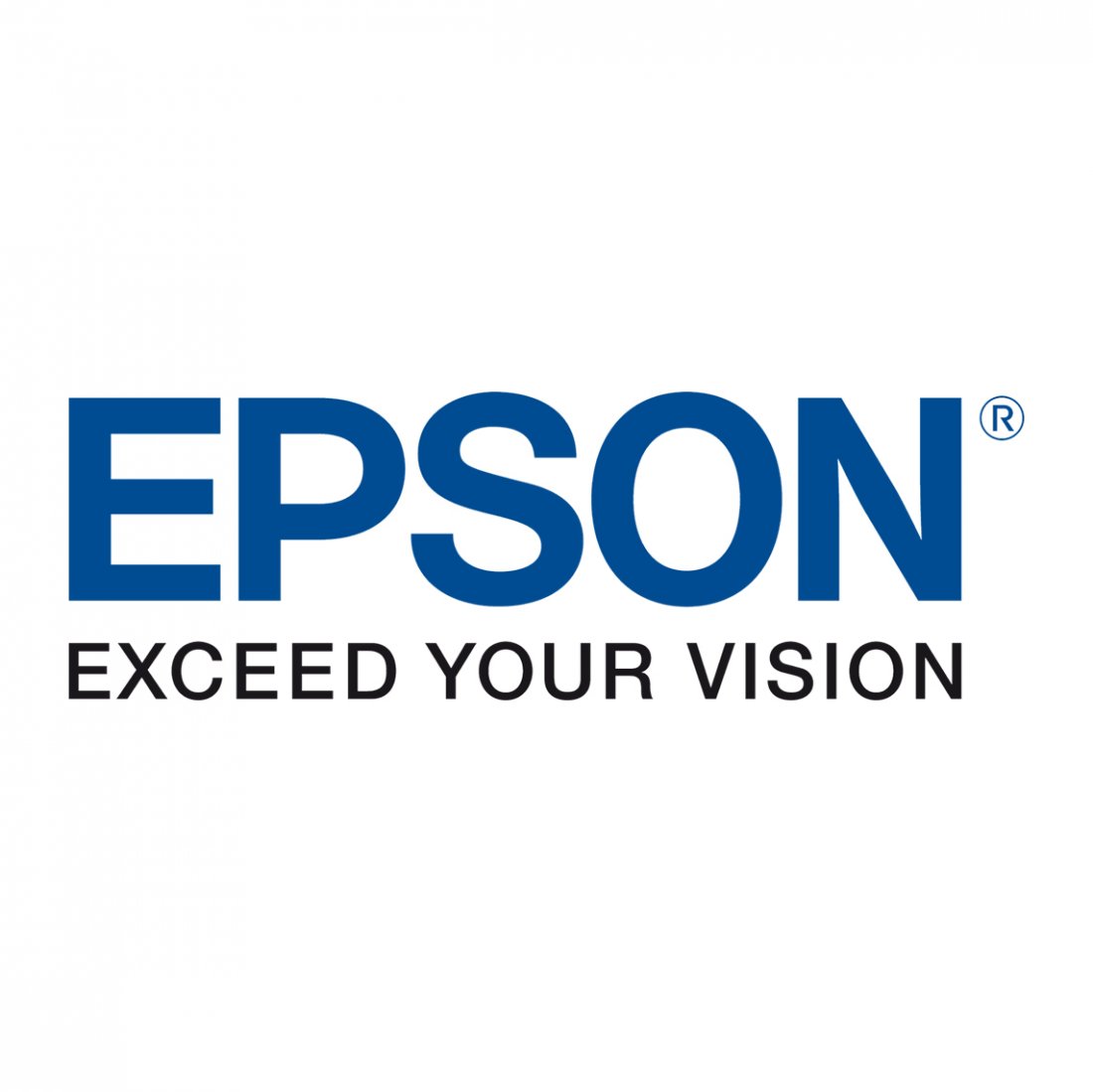 Epson SureColor SC-F100 Maintenance Box