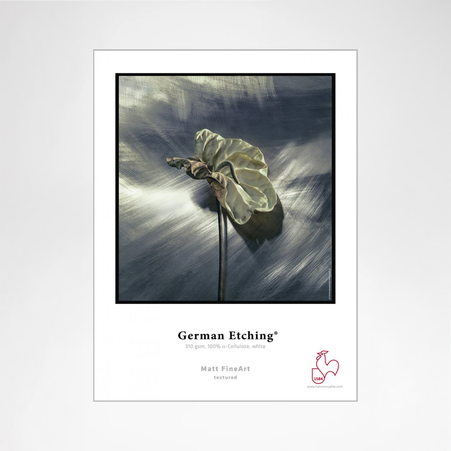 Hahnemühle Fine Art Papier – German Etching  310 g/m²