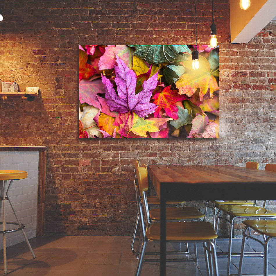 Innova Supernova Chrome