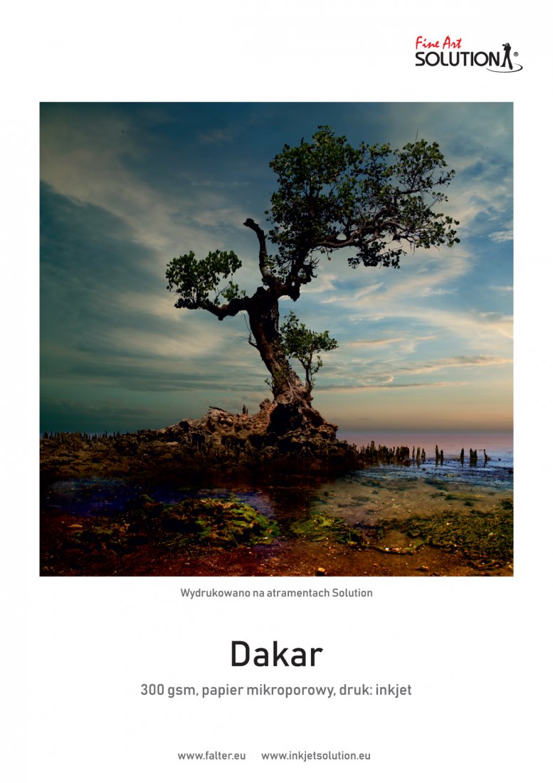 Solution FineArt Dakar 300