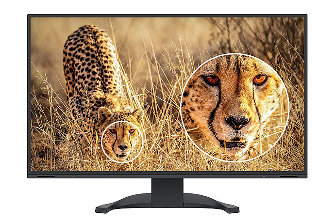 EIZO Flexscan EV3240X