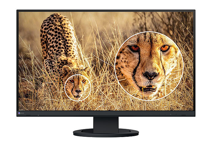 EIZO FlexScan EV2740S — Display 4K-UHD